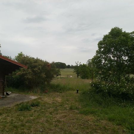 New Home Langendorf  ภายนอก รูปภาพ